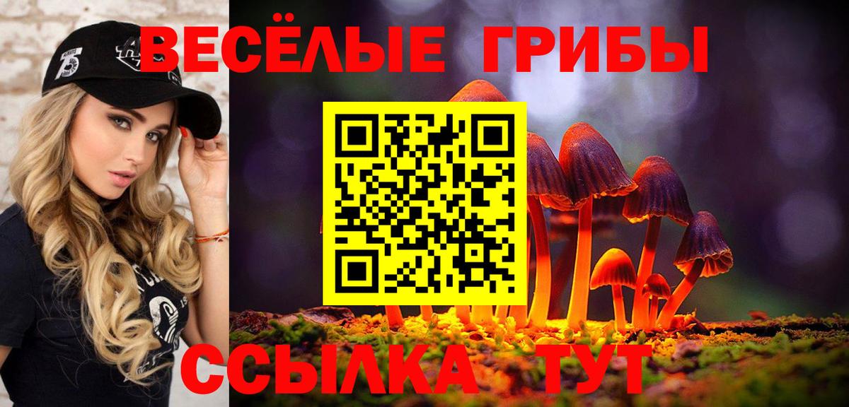 Псилоцибиновые грибы мицелий Урай