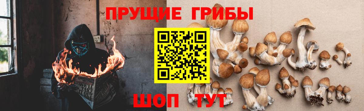 Псилоцибиновые грибы MAGIC MUSHROOMS  Вход с VPN  Урай 